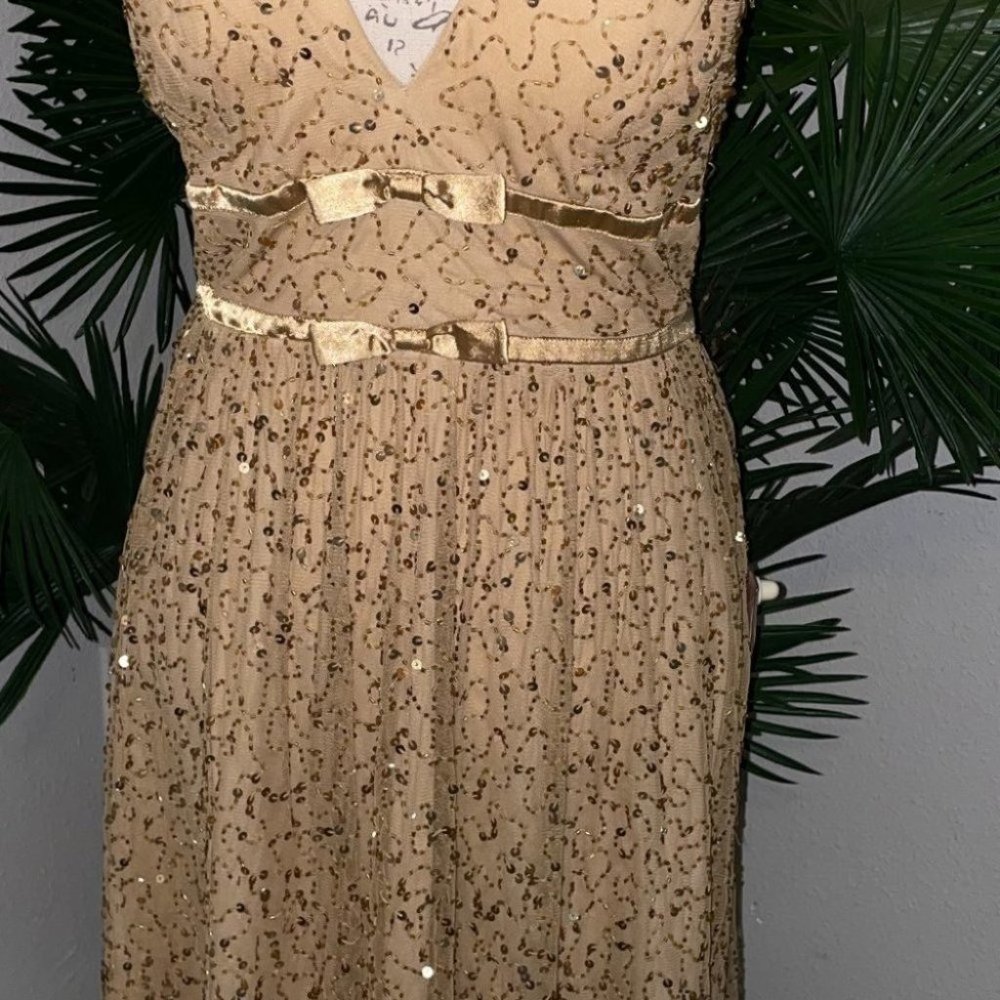 Night Way Petite Dress